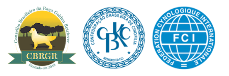 Conselho Brasileiro da Raça Golden Retriever